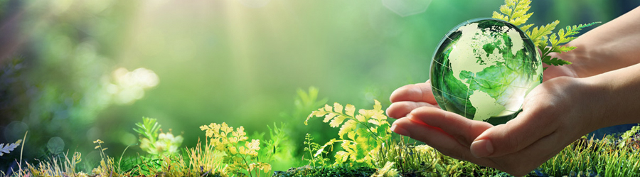 Çevre Danışmanlığı